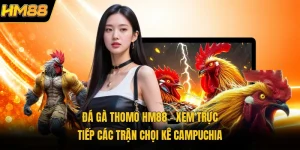 Đá Gà Thomo HM88 | Xem Trực Tiếp Các Trận Chọi Kê Campuchia