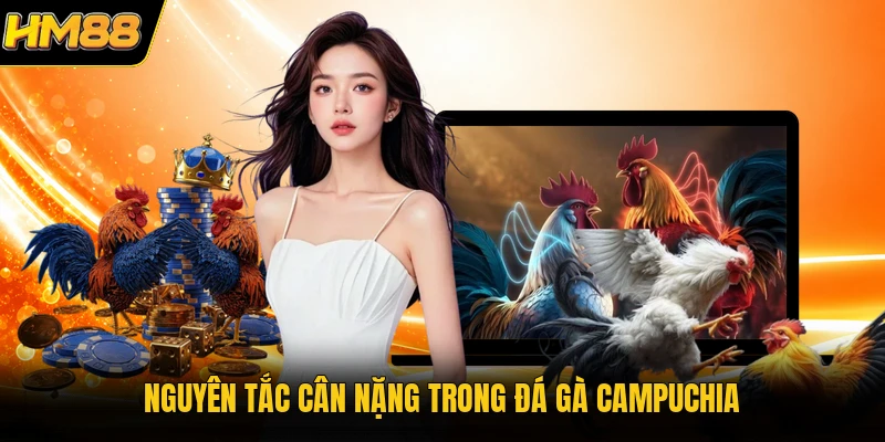 Đá Gà Thomo HM88 | Xem Trực Tiếp Các Trận Chọi Kê Campuchia Nguyên tắc cân nặng trong đá gà Campuchia