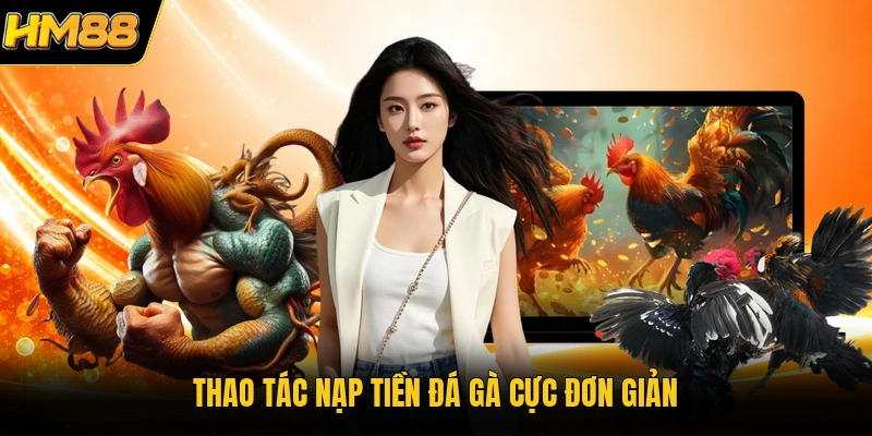 Nạp & Cược Đá Gà Thomo | Chỉ Dẫn Giao Dịch & Giải Trí 2026 Thao tác nạp tiền đá gà cực đơn giản