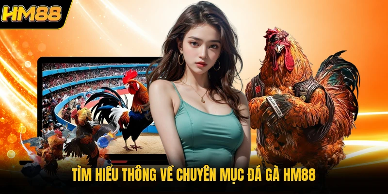 Tìm hiểu thông về chuyên mục đá gà HM88