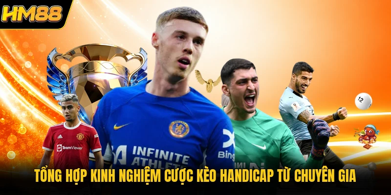 Tổng hợp kinh nghiệm cược kèo handicap từ chuyên gia